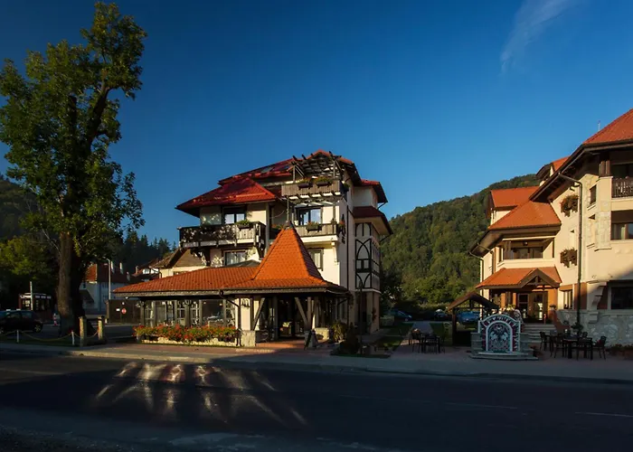 Casa Din Bran - Inn Center